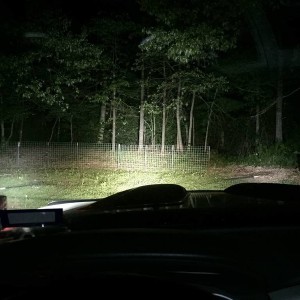 Lights