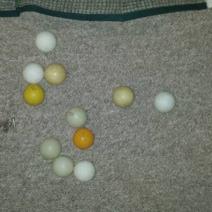 20150412_170900