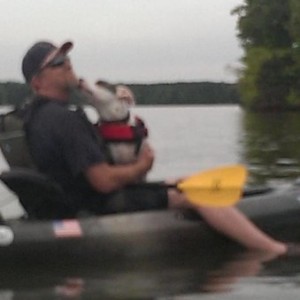 seadog5