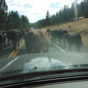 Prineville Oregon