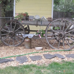 The horse Wagon