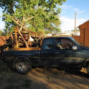 Horse wagon on the Tacoma