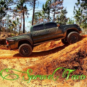 SpruceTaco