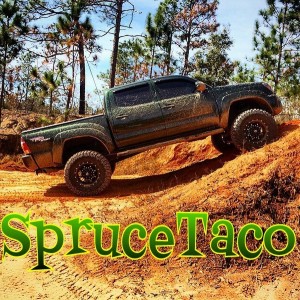 SpruceTaco 2