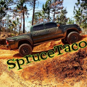 SpruceTaco 3