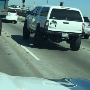 livefmc8lq.jpg