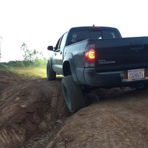 Uptoptrabuco