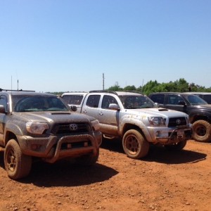 Jambo 2015