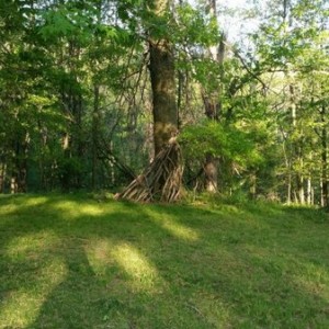 Clearly a Bigfoot house.