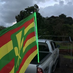 Whip Lights w/flag mounted
