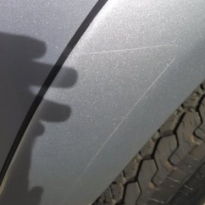 PaintProtector