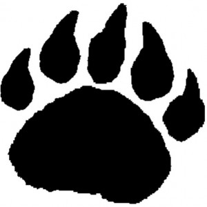 blackbearpaw