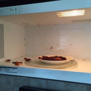 My chicken went BOOM