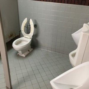 Have shit on the walls and no gay guard.