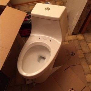 This one is in one piece!