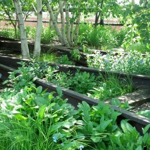 Rail garden