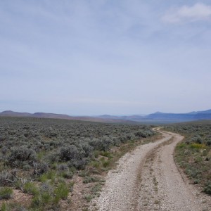 P1000918