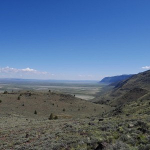 P1000953