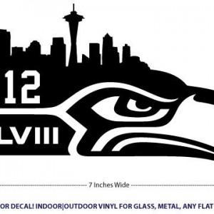Xlviii_seattle_hawk