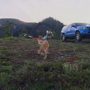 TacoStig_camping_001