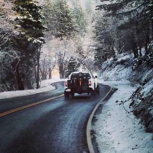 Big Bear3