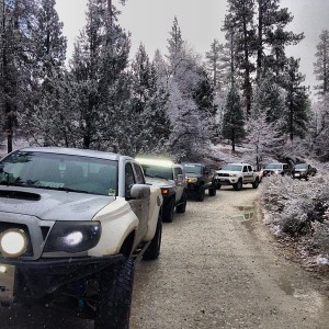 Big Bear2