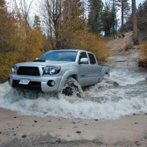 Bigbear4
