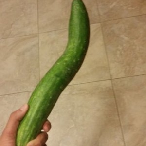 20150603_222029