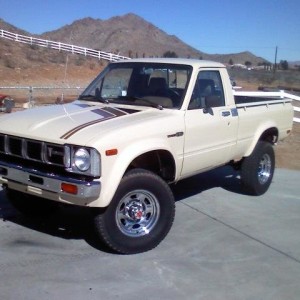 1981