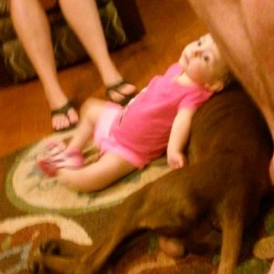My daughter love my best friends german short hair pointer. They got him when she was 10 weeks and he was just a puppy