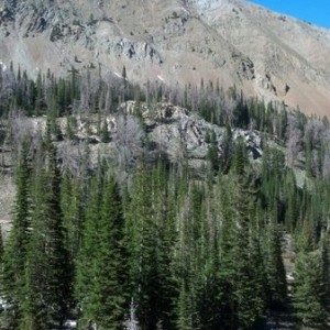 Boulder basin