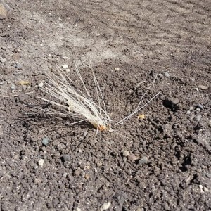 20150613_093432