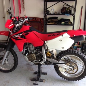 Pig is almost ready to hit the road. Just need to make a plate mount on the fender and rip some wheelies.