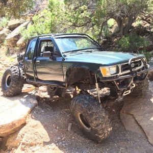 Sexy Flexy