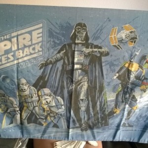Found my pillowcases from way way back