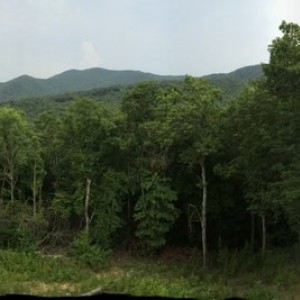 Our backyard in Cherry Log Ga.....Blue Ridge Mtns.