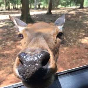 Hey!