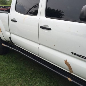 Taco did a love rub with a large muddy animal. That's a tail slap on the door.