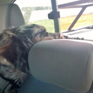 He's sleeping hahaha