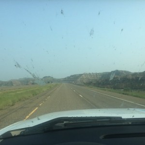 The land of :lisa: