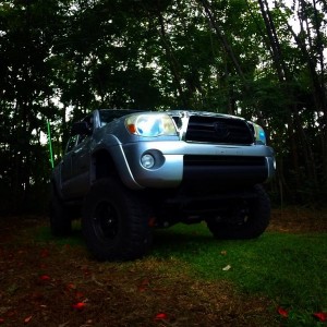 Dusk shot out in the pasture