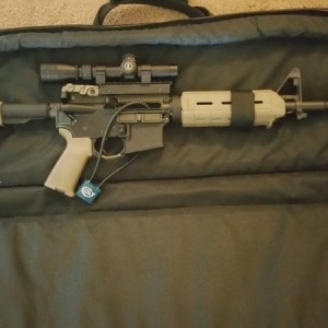 AR 15