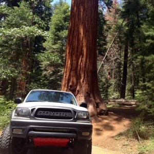 Truck and Trees at Sequoia Nat'l Park