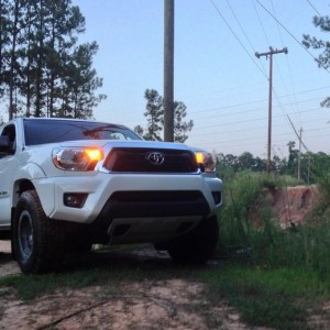 Trail