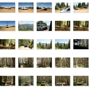 TSF_Contact Sheet5