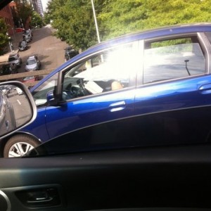 Reading a book in traffic. People are fuggin morons.