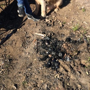 TacoStig_camping_007