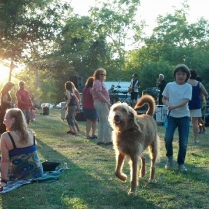 Free summer concert in the hood park...