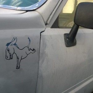 Tagged up the mule