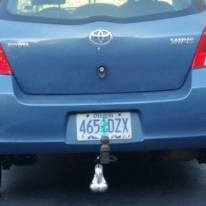 A yaris with a tow hitch and truck nutz... ... priceless